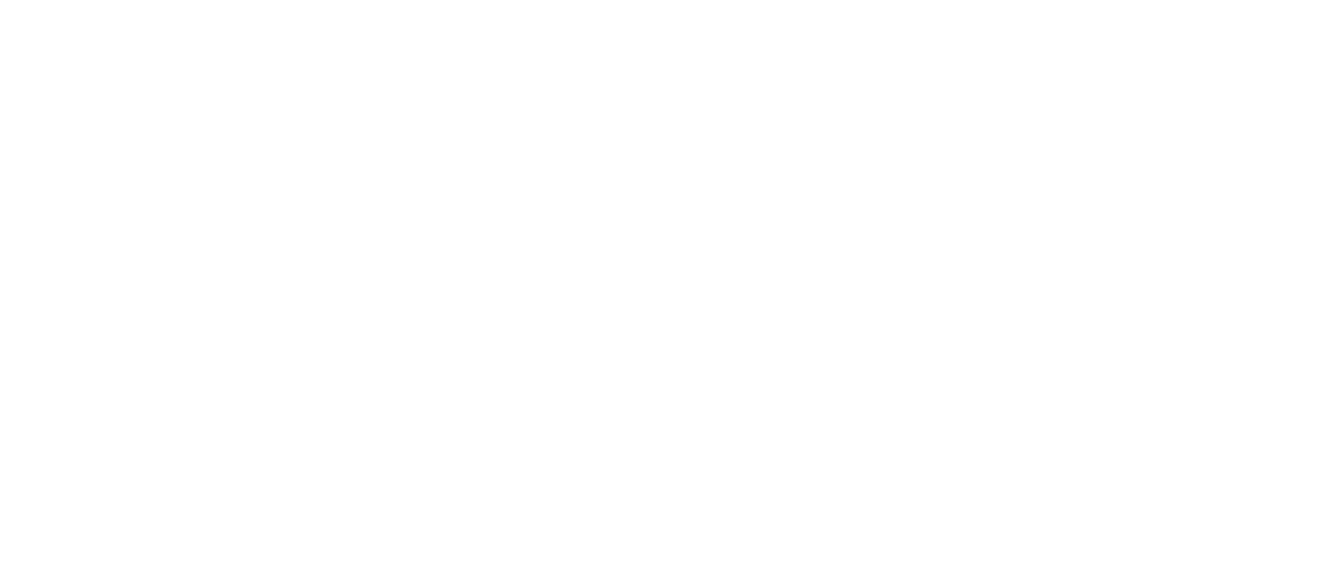 Riterdan